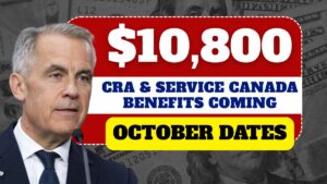 $10,800 in CRA & Service Canada Benefits Coming This October – See If You Qualify!