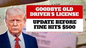 Goodbye Old Driver’s License in USA — Update Before Fine Hits $500